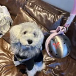 2-in-1 Portable Dog Water Bottle for Small Dogs - Leak-Proof photo review