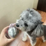 2-in-1 Portable Dog Water Bottle for Small Dogs - Leak-Proof photo review