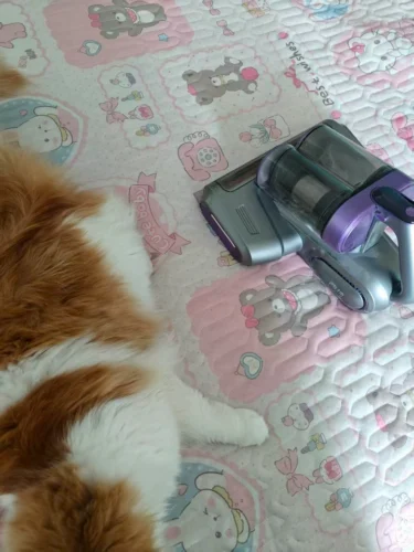✨HOT SALE 50% OFF ✨Mattress Vacuum Cleaner for Dust Mites Removal photo review