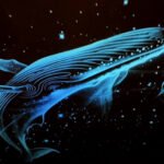 2-in-1 Galaxy Projector Night Light, Multifunctional Portable Starry Sky Night Light Projector with HD Films, USB Powered, Adjustable Brightness for Car and Bedroom Decoration (12PCS) photo review