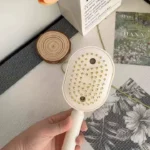 Electric Spray Air Cushion Massage Comb photo review