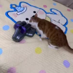✨HOT SALE 50% OFF ✨Mattress Vacuum Cleaner for Dust Mites Removal photo review