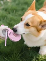 2-in-1 Portable Dog Water Bottle for Small Dogs - Leak-Proof