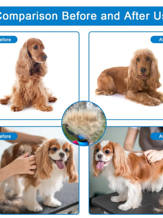 Professional Deshedding Tool For Dogs And Cats