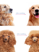 Professional Deshedding Tool For Dogs And Cats