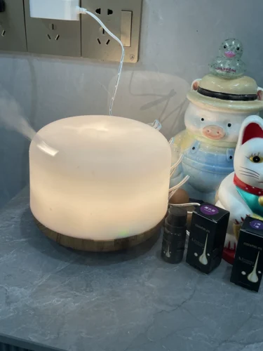 7-color LED light aromatherapy diffuser ultrasonic humidifier 500ml photo review